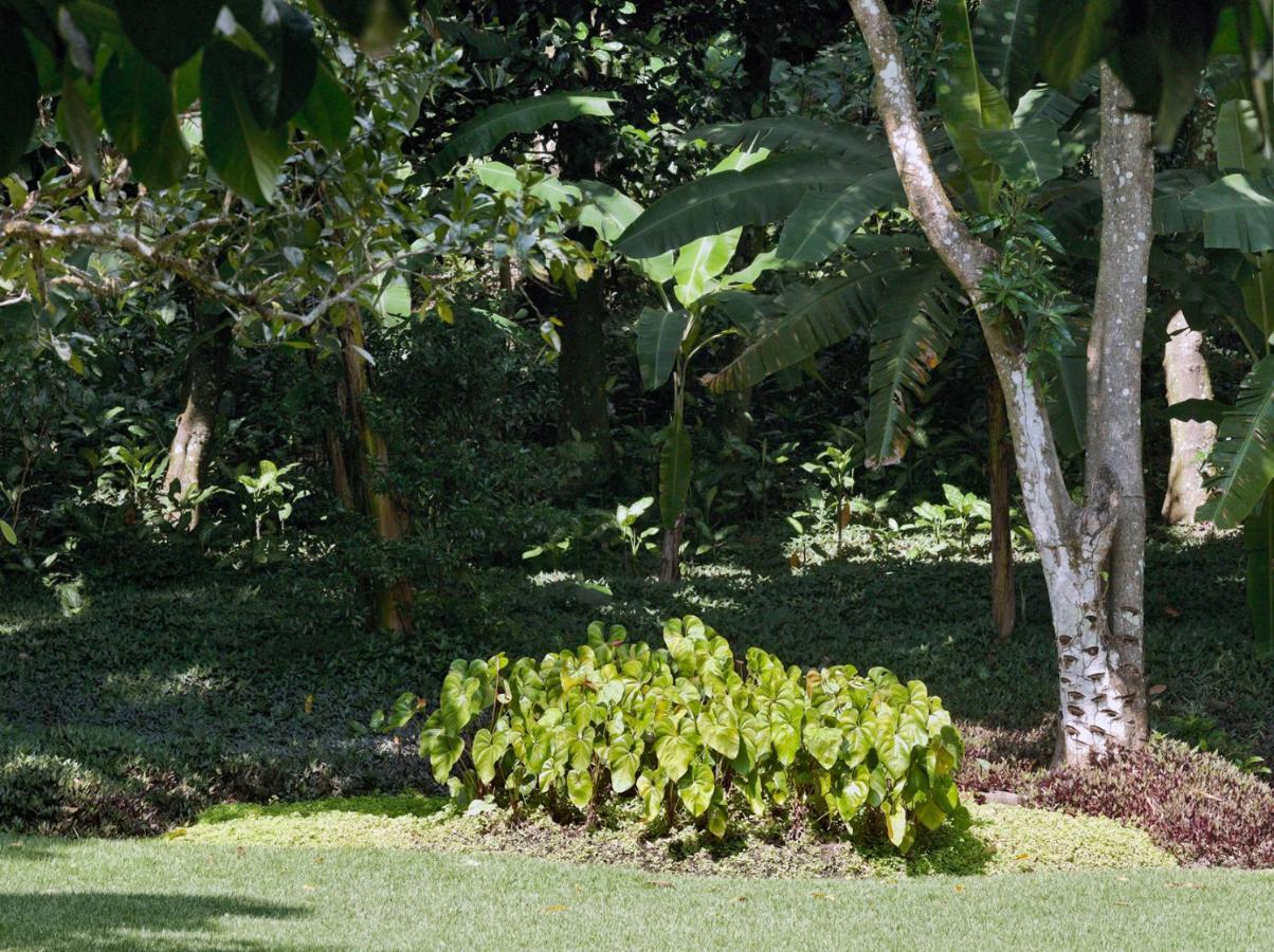 Hotel O Sitio - Ilha Grande Esterno foto